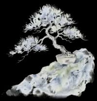 Subtle Japanese watercolor bonsai pine tree on rock